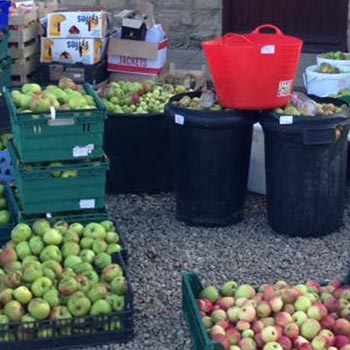 Community Apples For Yorkshire Apple Cider Vinegar